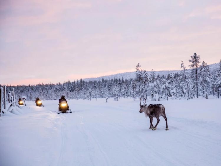 Singlereis Winterreis (HBO-WO) In Fins Lapland